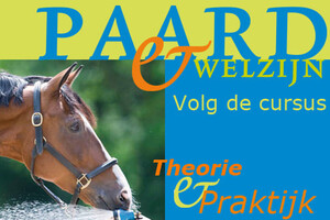 Cursus Paard & Welzijn