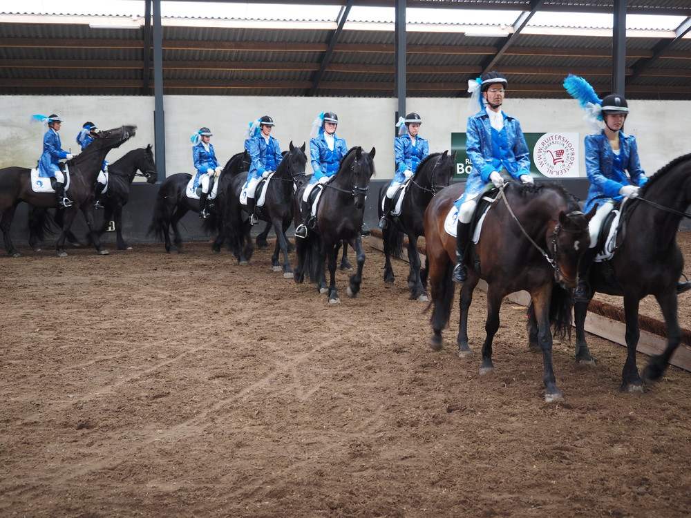 Carrousel Equicentrum Sprong