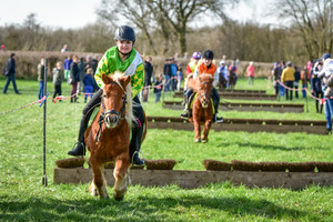 Racingteam NK Maasheggenvlechten 2017