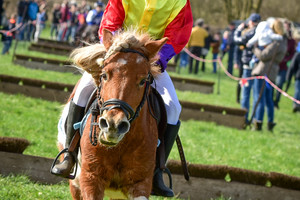 Racingteam NK Maasheggenvlechten 2017