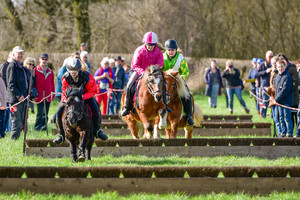 Racingteam NK Maasheggenvlechten 2017