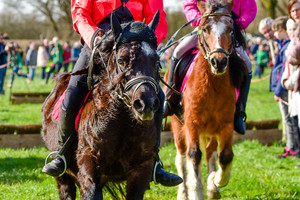 Racingteam NK Maasheggenvlechten 2017