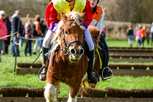 Racingteam NK Maasheggenvlechten 2017