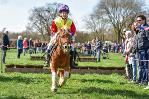 Racingteam NK Maasheggenvlechten 2017