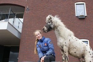 Ponykamp, aangepast paardenkamp, trainingsdagen