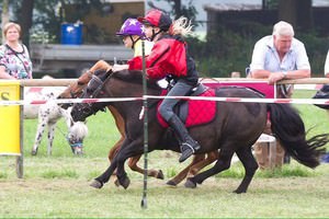 Shetlander racing team