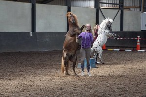 Open Dag 2017