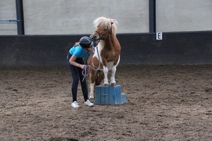 Open Dag 2017