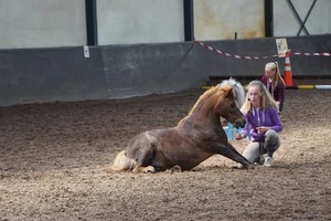 Open Dag 2017