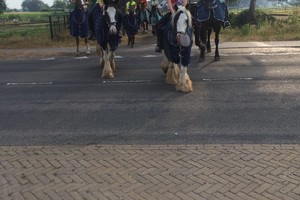 Trektocht Gevorderden Week 29