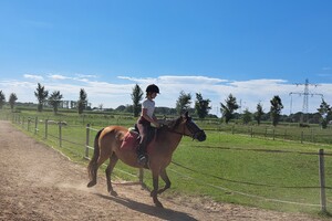 Ponykamp, aangepast paardenkamp, trainingsdagen