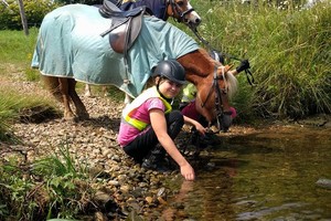 Ponytrektocht 2017 - week 30