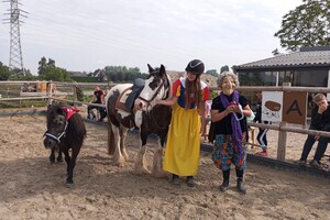 Ponykamp, aangepast paardenkamp, trainingsdagen