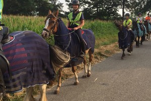 Trektocht Gevorderden Week 29