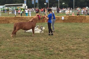 Demonstraties Brabantse Kampioenschappen 2018