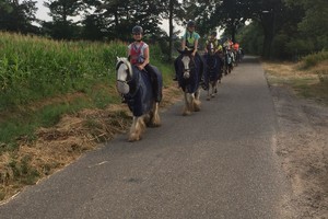 Trektocht Gevorderden Week 29