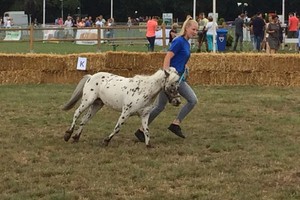 Demonstraties Brabantse Kampioenschappen 2018