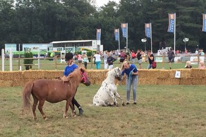 Demonstraties Brabantse Kampioenschappen 2018