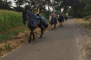 Trektocht Gevorderden Week 29