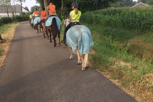 Trektocht Gevorderden Week 29