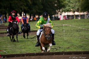 Racingteam Royal Polo Paleis het Loo