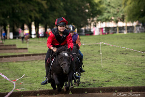 Racingteam Royal Polo Paleis het Loo
