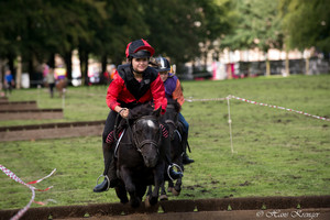 Racingteam Royal Polo Paleis het Loo