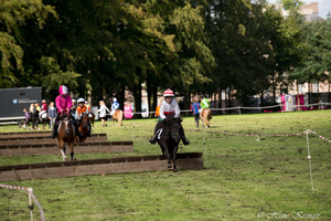 Racingteam Royal Polo Paleis het Loo