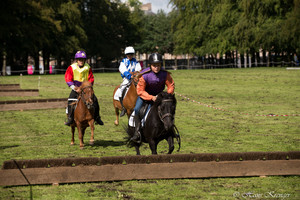 Racingteam Royal Polo Paleis het Loo