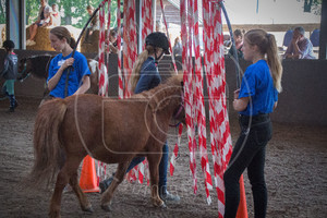 Open Dag 2018