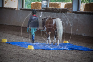 Open Dag 2018