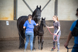 Open Dag 2018