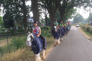 Trektocht Gevorderden Week 29