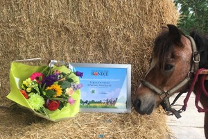 Plattelandsaward Land van Cuijk 2017, een mooie bos bloemen en Beauty