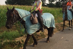 Trektocht Gevorderden Week 29