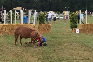 Demonstraties Brabantse Kampioenschappen 2018