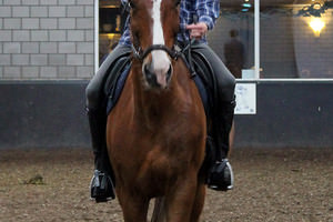 Gert rijdt ook paard