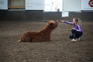 Sprong Vooruit Fair 5 maart 2017