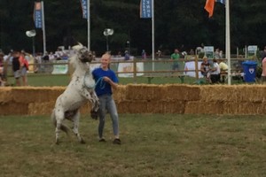 Demonstraties Brabantse Kampioenschappen 2018