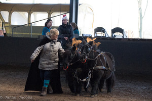 Pony-winterspelen 2017