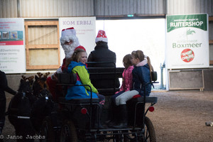 Pony-winterspelen 2017