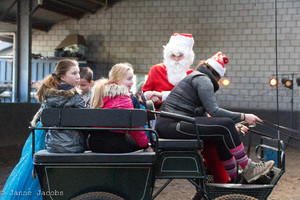 Pony-winterspelen 2017