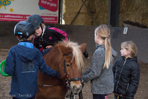 Pony-winterspelen 2017