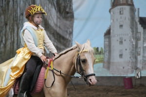 Ponykamp, aangepast paardenkamp, trainingsdagen