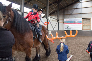 Pony-winterspelen 2017