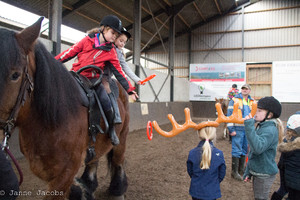 Pony-winterspelen 2017