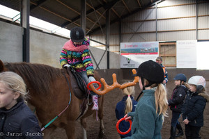 Pony-winterspelen 2017