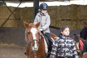 Pony-winterspelen 2017