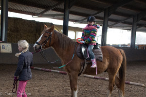 Pony-winterspelen 2017