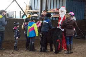 Pony-winterspelen 2017